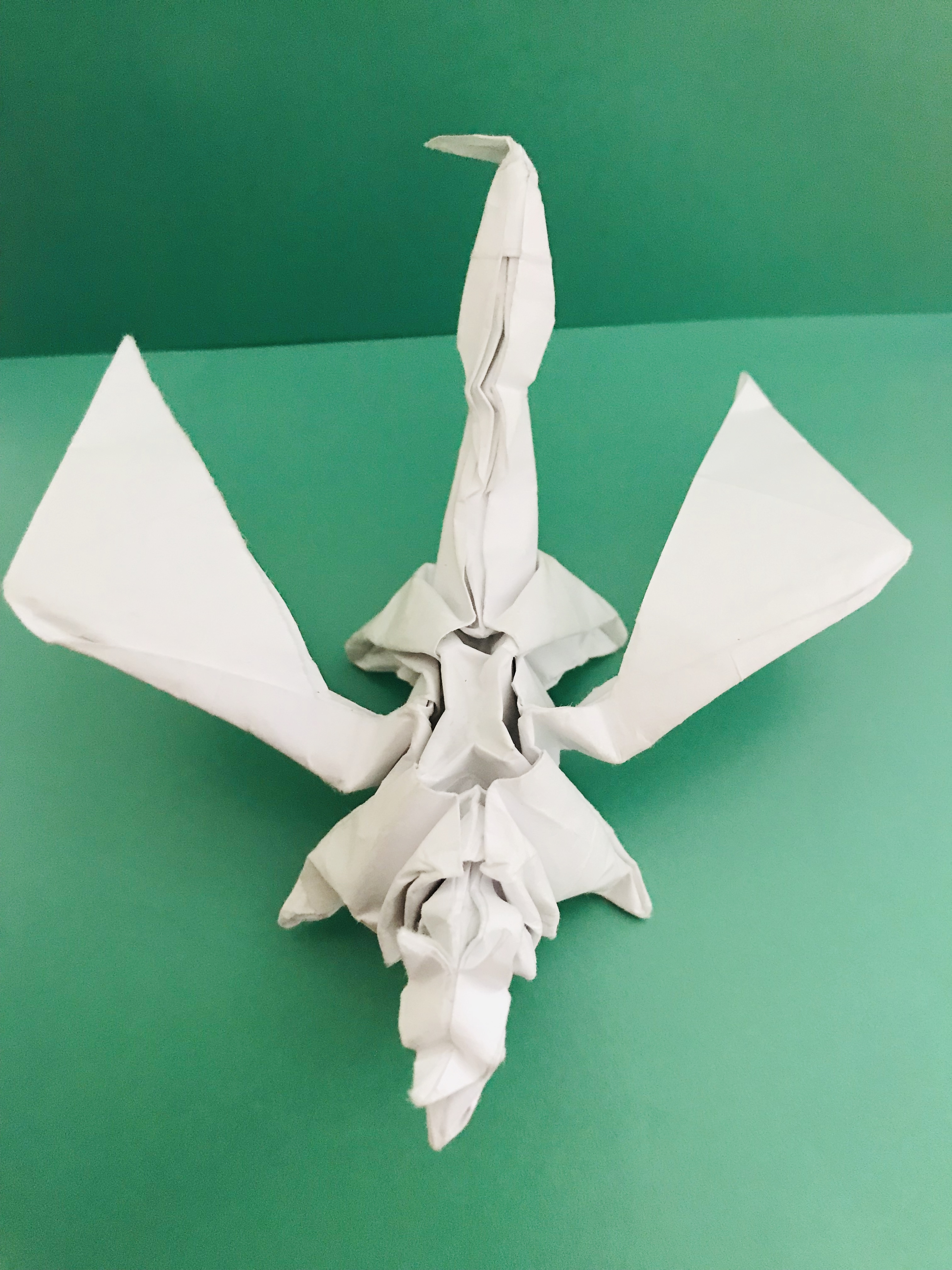 White Dragon Front View